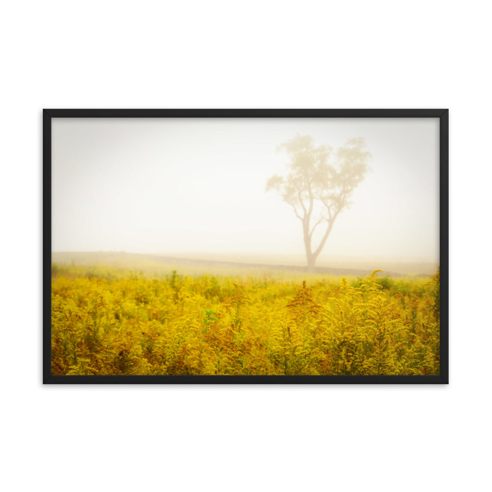 Dreams of Goldenrod and Fog Landscape Framed Photo Wall Art Prints