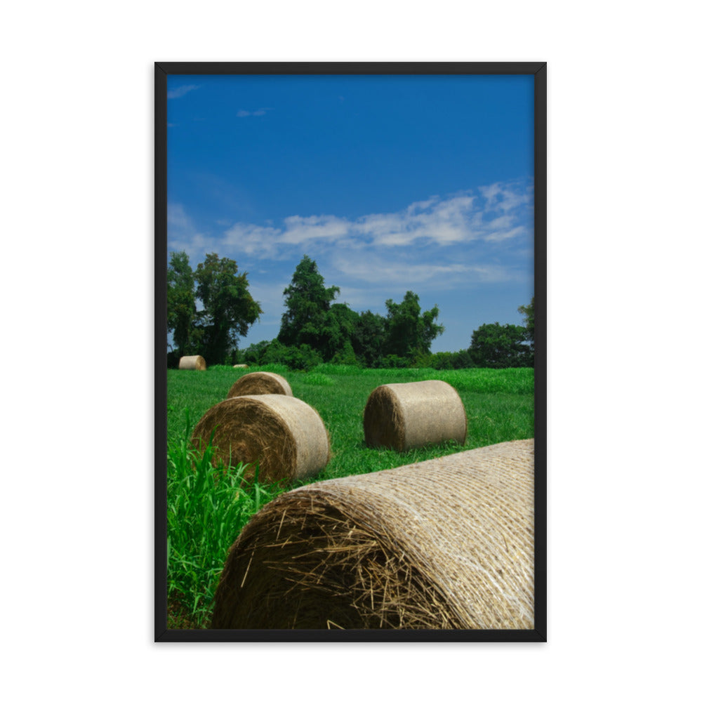 Hay Whatcha Doin in the Field Landscape Framed Photo Paper Wall Art Prints