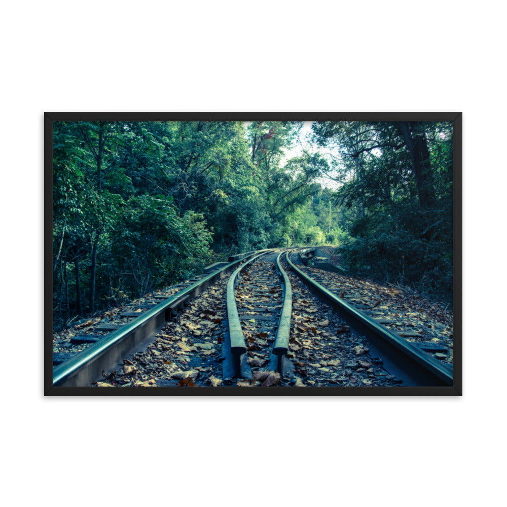 Lead Me into the Light - Colorized Framed Photo Paper Wall Art Prints