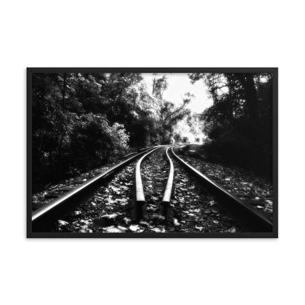 Lead Me into the Light in Black and White Framed Photo Paper Wall Art Prints