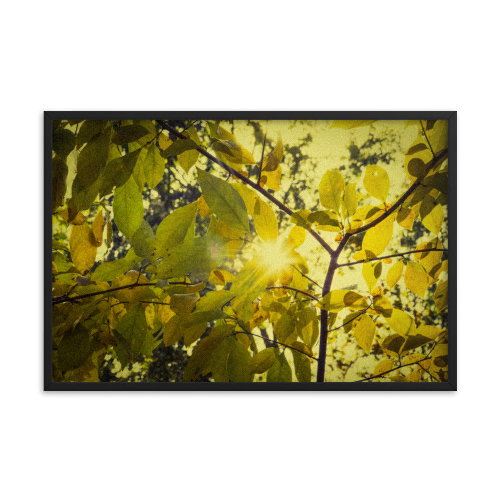 Colourful Prints For Hallway: Aged Golden Leaves Abstract / Country Farmhouse Style / Botanical / Nature Photo Framed Wall Art Print - Artwork - Home Decor