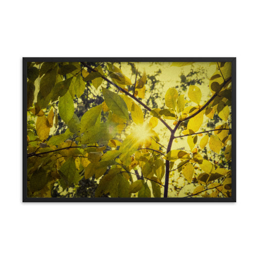 Colourful Prints For Hallway: Aged Golden Leaves Abstract / Country Farmhouse Style / Botanical / Nature Photo Framed Wall Art Print - Artwork - Home Decor