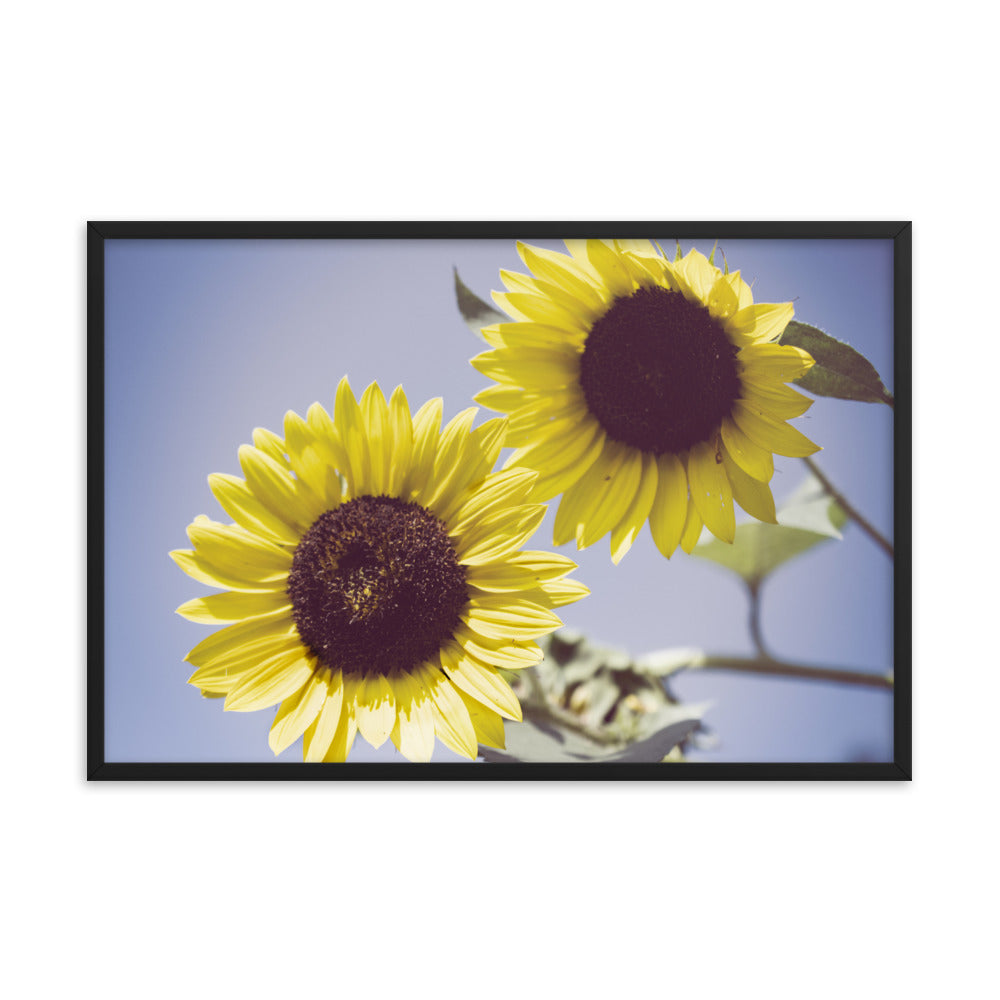 Framed Vintage Floral Prints: Aged Sunflowers Against Sky Abstract / Minimal / Rustic / Country / Farmhouse Style / Floral / Botanical / Nature Photo Framed Wall Art Print - Artwork - Wall Decor - Home Decor