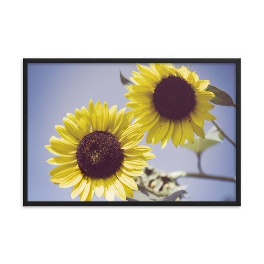 Framed Vintage Floral Prints: Aged Sunflowers Against Sky Abstract / Minimal / Rustic / Country / Farmhouse Style / Floral / Botanical / Nature Photo Framed Wall Art Print - Artwork - Wall Decor - Home Decor