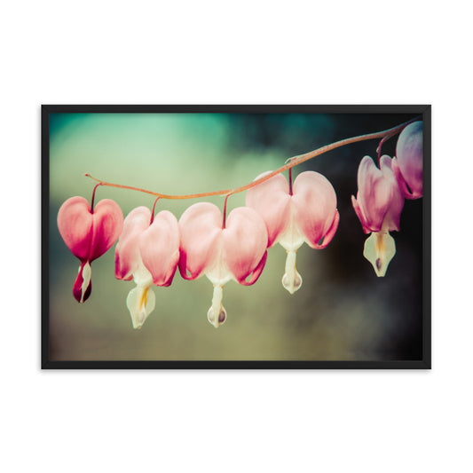 Be Still My Bleeding Heart Colorized Floral Nature Photo Framed Wall Art Print