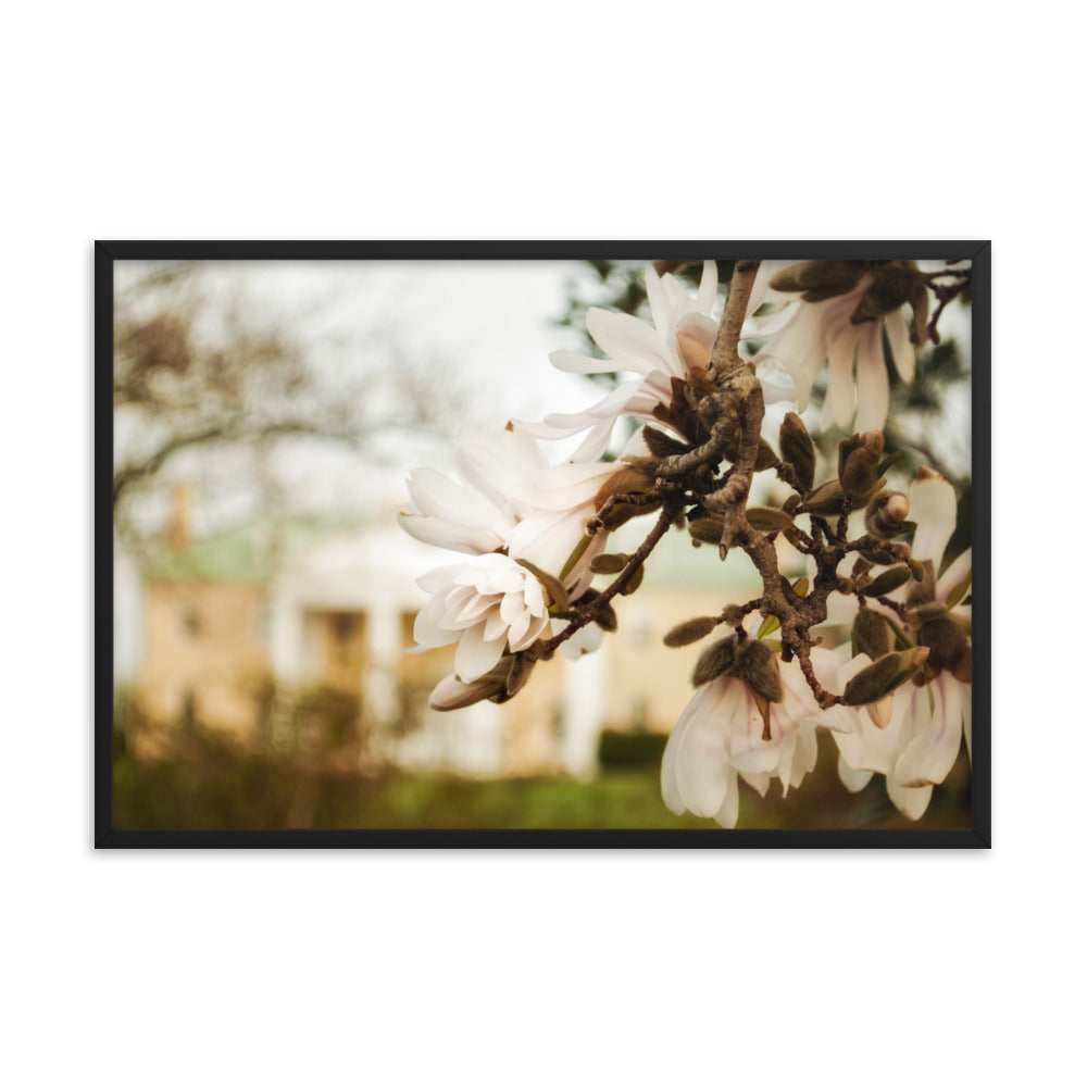 Bellevue Mansion Floral Nature Photo Framed Wall Art Print
