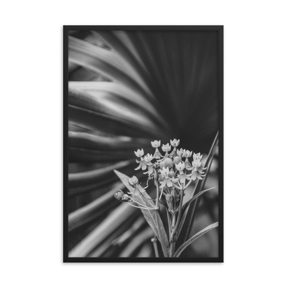 Bloodflowers and Palm Black and White Framed Wall Art Print