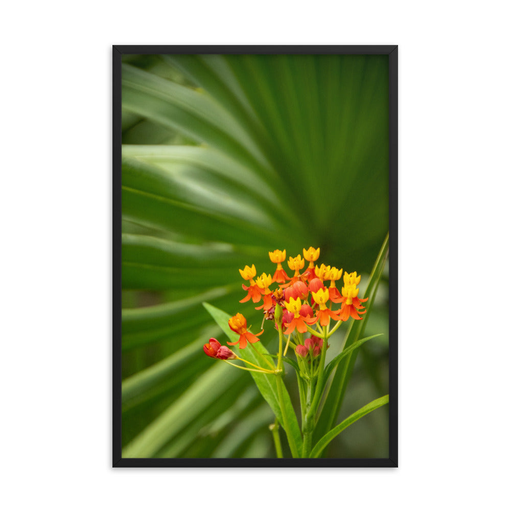 Bloodflowers and Palm Color Floral Nature Photo Framed Wall Art Print