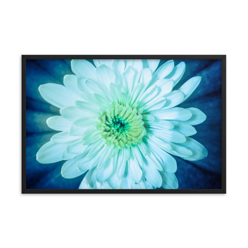 Brilliant Flower Floral Nature Photo Framed Wall Art Print