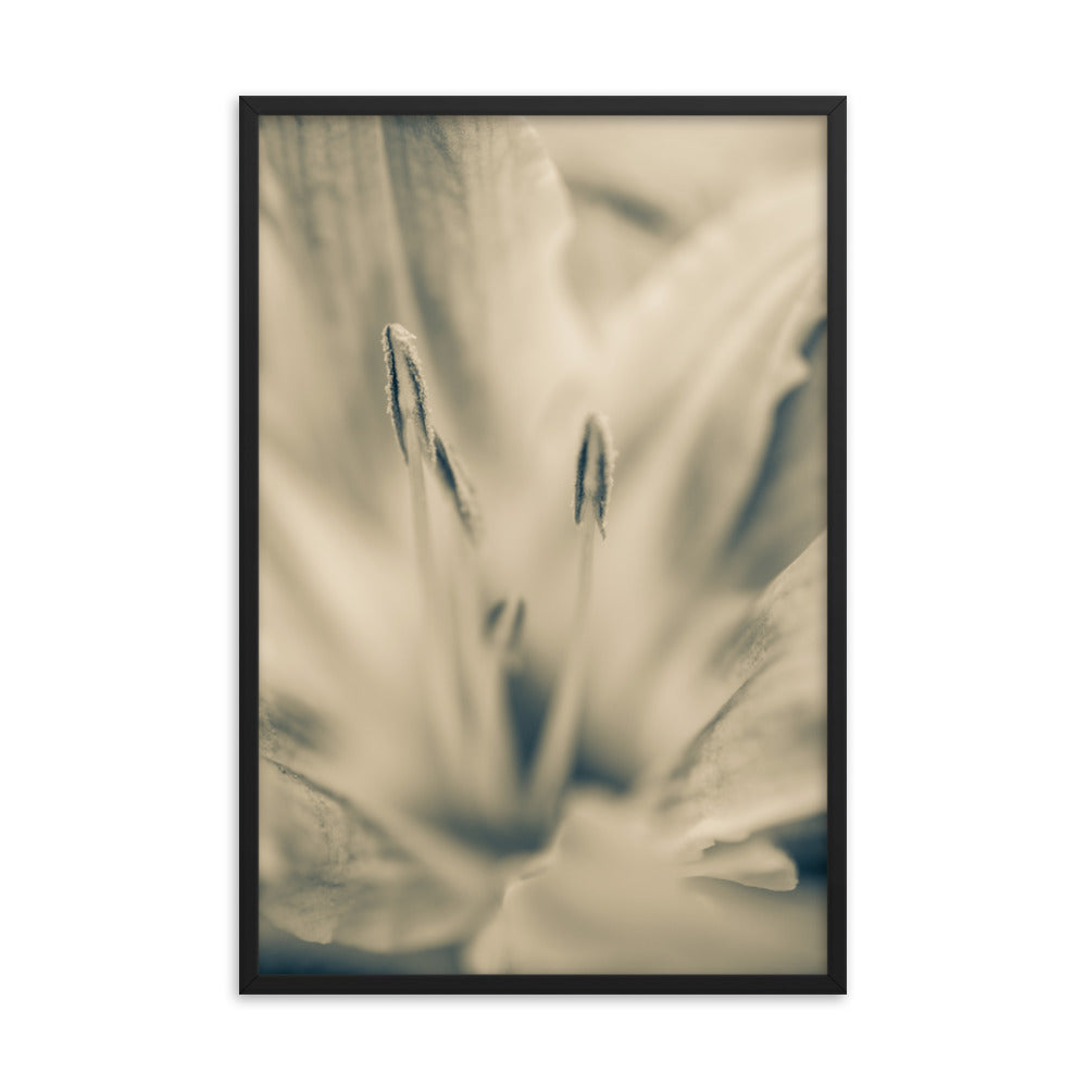 Calm Passions Floral Nature Photo Framed Wall Art Print