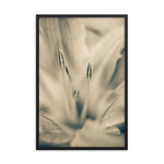 Calm Passions Floral Nature Photo Framed Wall Art Print