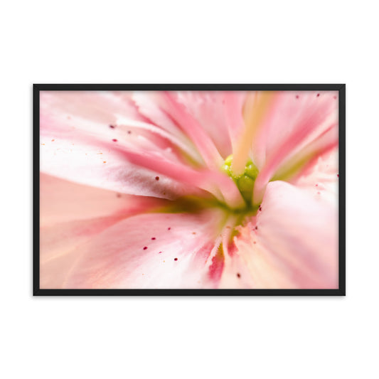 Center of the Stargazer Lily Floral Nature Photo Framed Wall Art Print