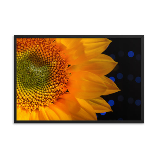 Close-up Sunflower Floral Nature Photo Framed Wall Art Print
