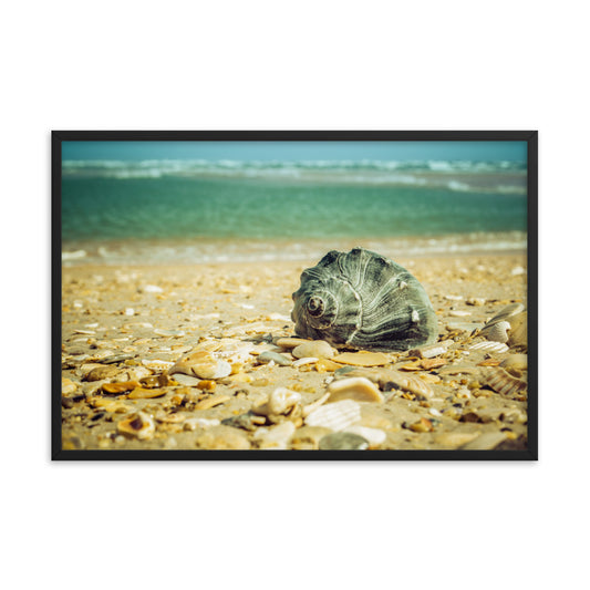 Daydreams on the Shore Coastal Nature Photo Framed Wall Art Print