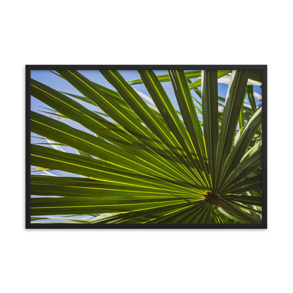 Colorized Wide Palm Leaves Botanical Nature Photo Framed Wall Art Print
