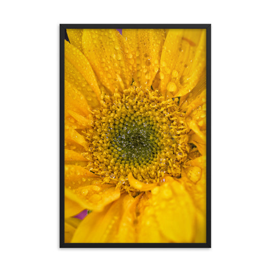 Joyful Color Floral Nature Photo Framed Wall Art Print