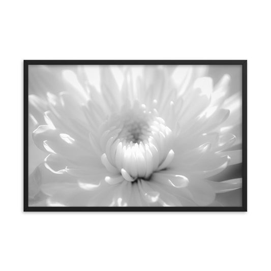 Infrared Flower 2 Black and White Floral Nature Photo Framed Wall Art Print
