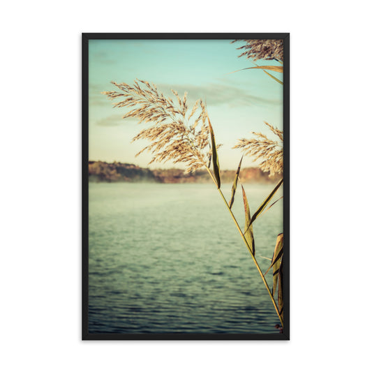 Golden Dreams Botanical Nature Photo Framed Wall Art Print