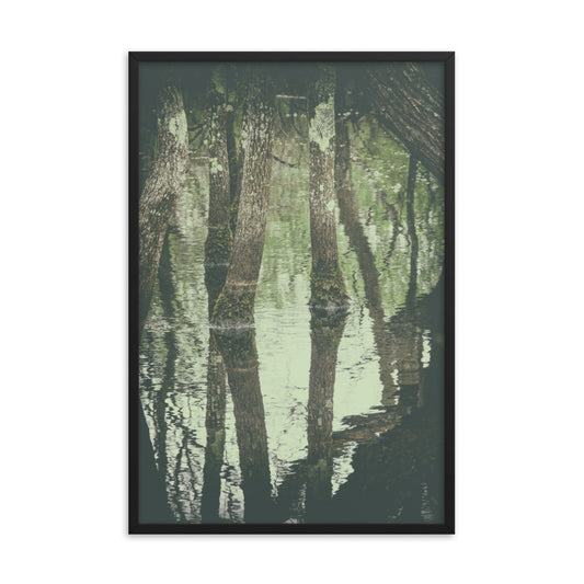 Early Spring Reflections on the Marsh Botanical Nature Photo Framed Wall Art Print