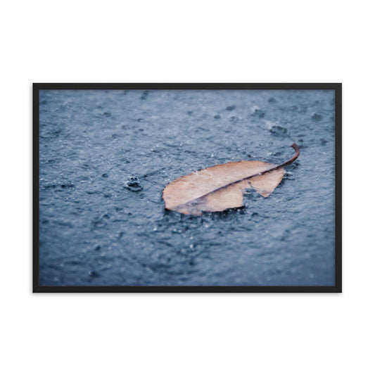 Fallen Leaf in The Rain Color Botanical Nature Photo Framed Wall Art Print