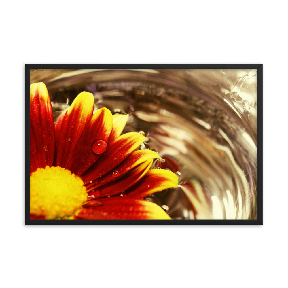 Floating Mum Floral Nature Photo Framed Wall Art Print
