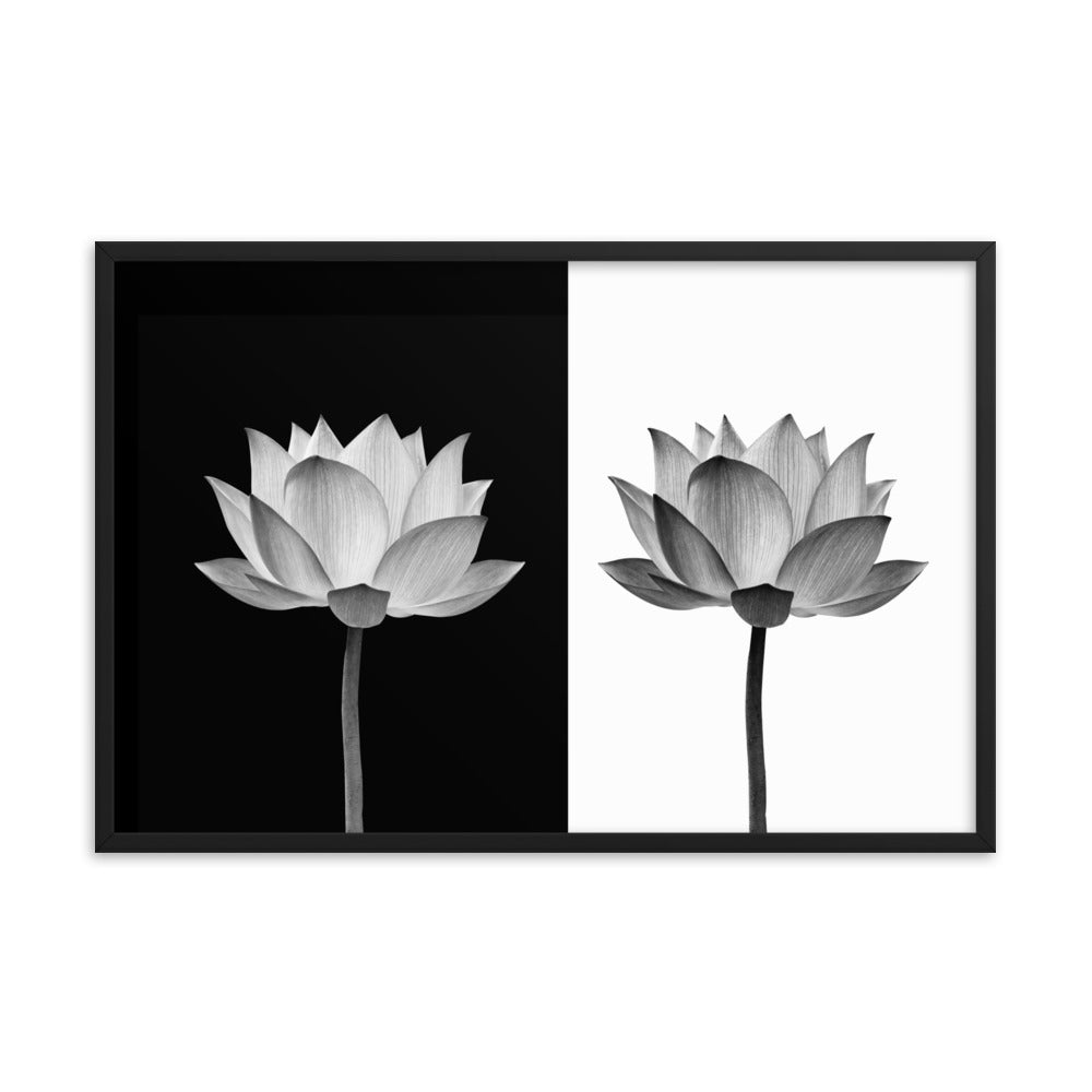 Lotus Flower on Black and White Background Floral Nature Framed Photo Paper Poster