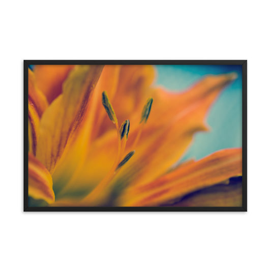Mystical Tiger Lily Floral Nature Photo Framed Wall Art Print