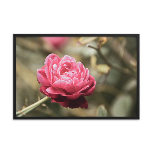 Perfect Petals Colorized Floral Nature Photo Framed Wall Art Print