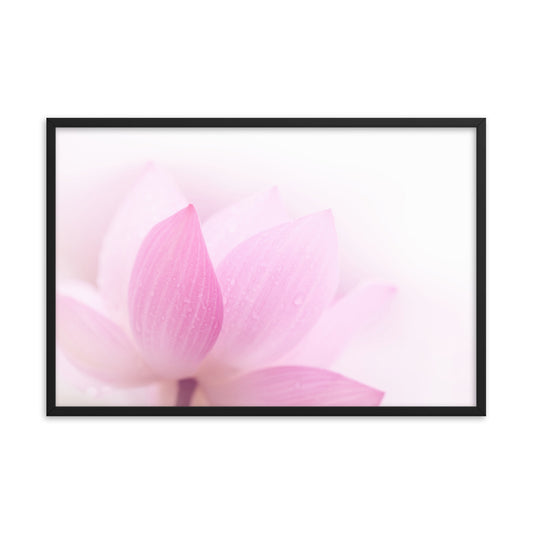 Peaceful Close-up Pink Lotus Petal Floral Framed Nature Photo Paper Poster