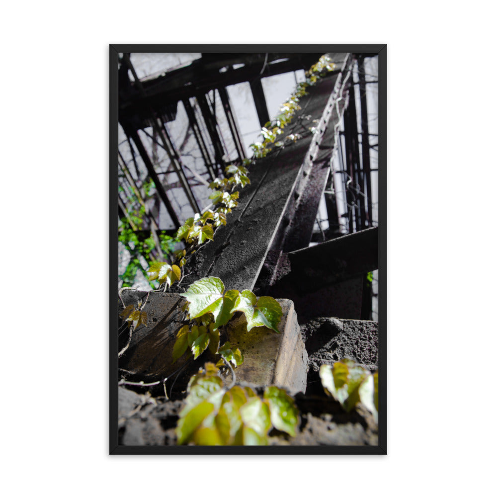 Nature Taking Over Botanical Nature Photo Framed Wall Art Print