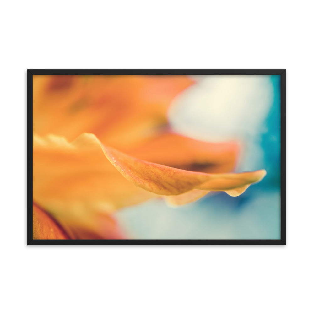 Serene Petals of Life Floral Nature Photo Framed Wall Art Print