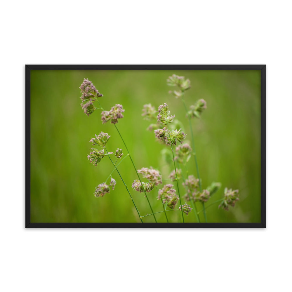 Softened Fields Botanical Nature Photo Framed Wall Art Print