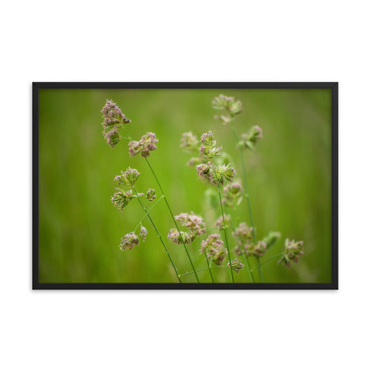 Softened Fields Botanical Nature Photo Framed Wall Art Print