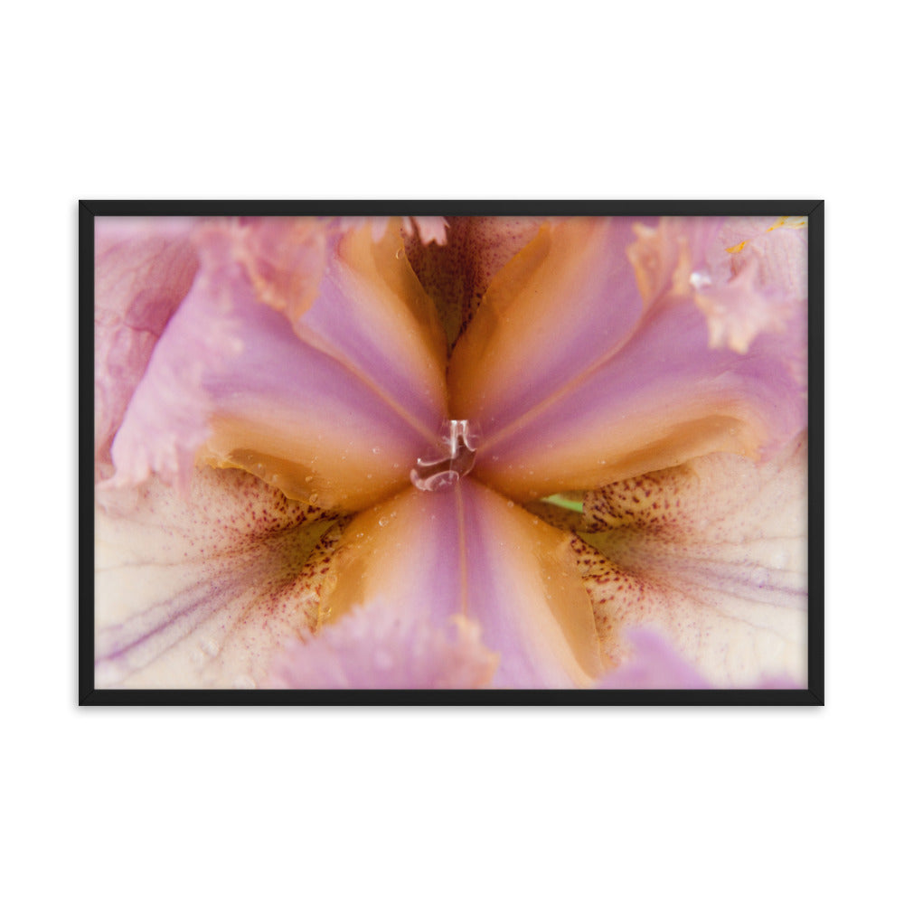 Symmetry of Nature Floral Nature Photo Framed Wall Art Print