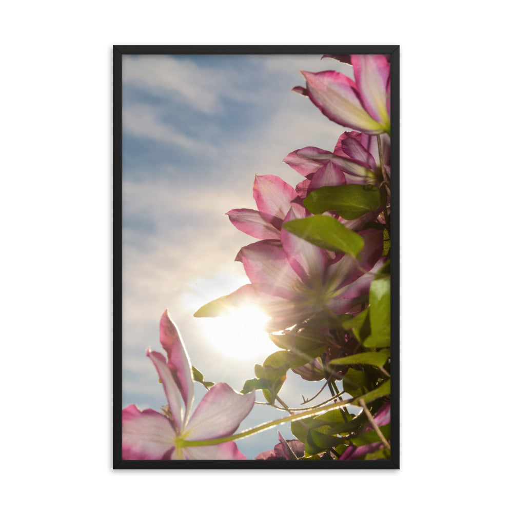 Towering Clematis Floral Nature Photo Framed Wall Art Print