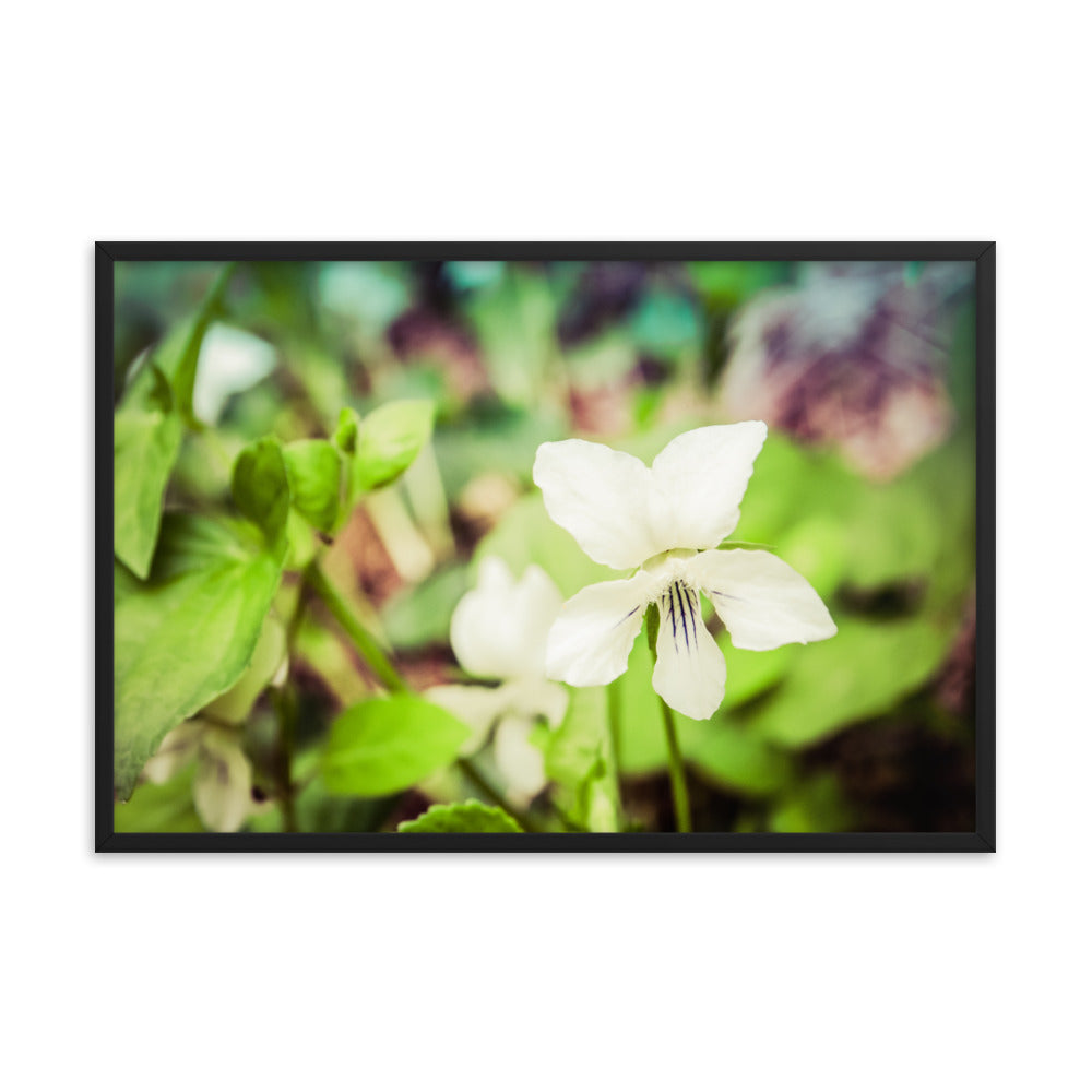 Tranquil China Violet Floral Nature Photo Framed Wall Art Print