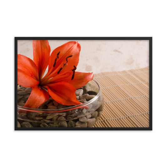 Tranquil Lily Floral Nature Photo Framed Wall Art Print