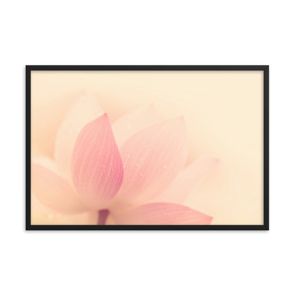 Tranquil Close-up Pink Lotus Petal Framed Photo Paper Poster