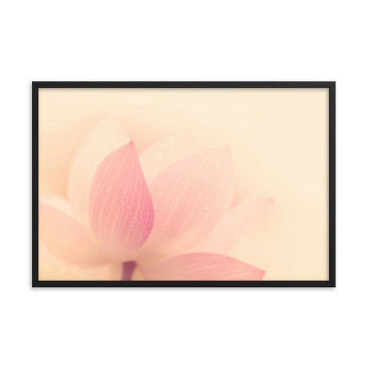 Tranquil Close-up Pink Lotus Petal Framed Photo Paper Poster