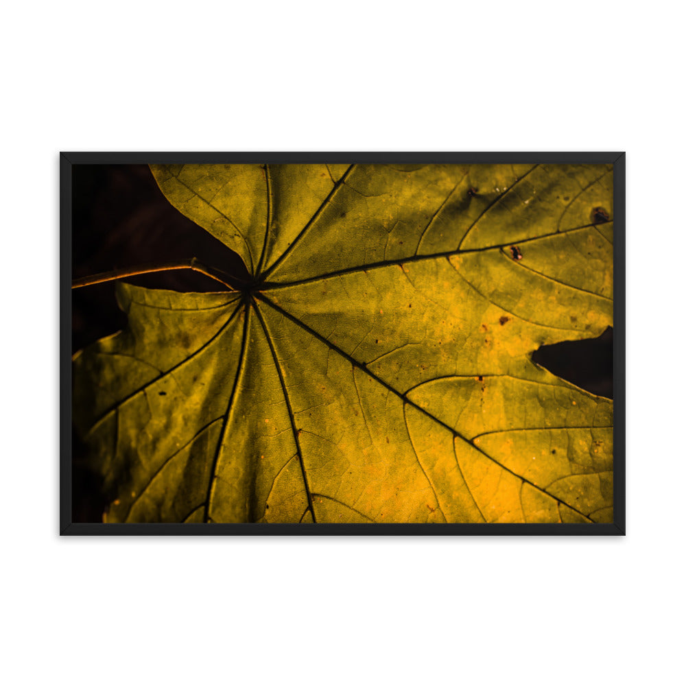 Seasons Change Botanical Nature Photo Framed Wall Art Print