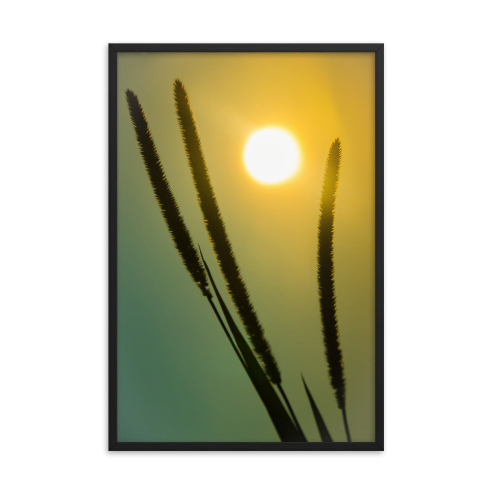 Silhouettes in Sunset Botanical Nature Photo Framed Wall Art Print