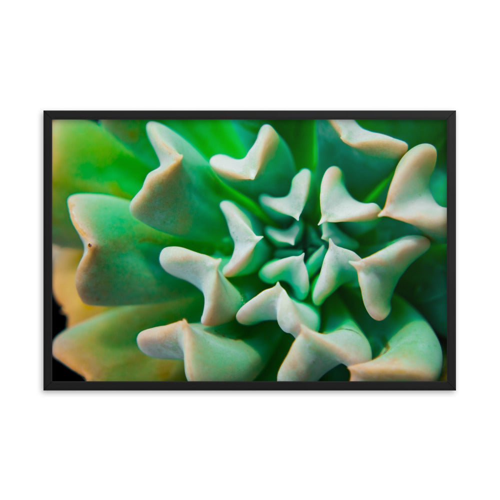 Succulent Botanical Nature Photo Framed Wall Art Print