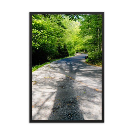 Summer Shadows Botanical Nature Photo Framed Wall Art Print