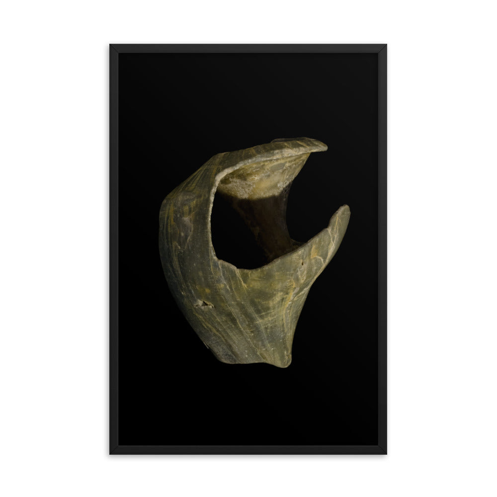 State of Erosion Image 5 Whelk Shell Coastal Nature Photo Framed Wall Art Print