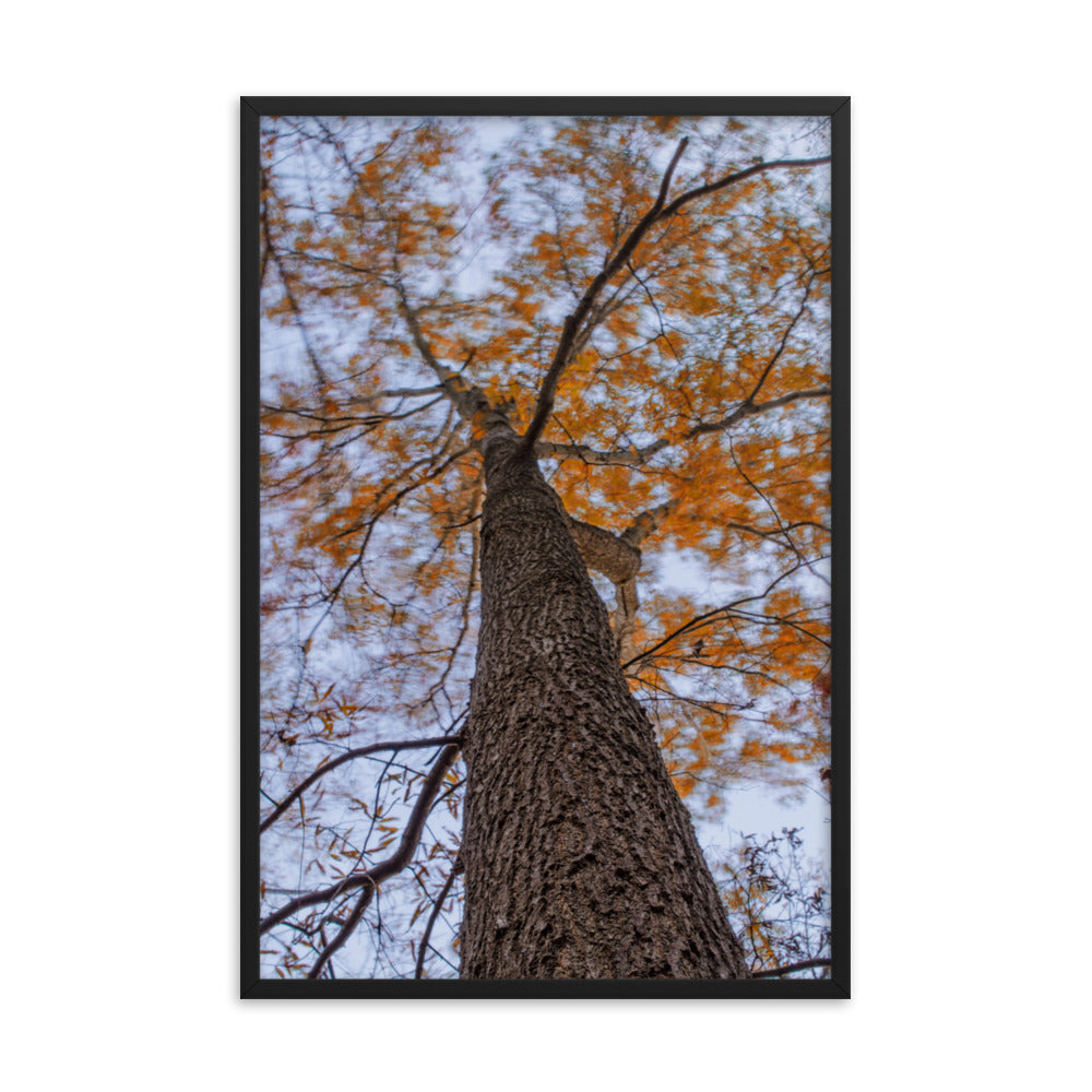 Wind in the Trees Botanical Nature Photo Framed Wall Art Print