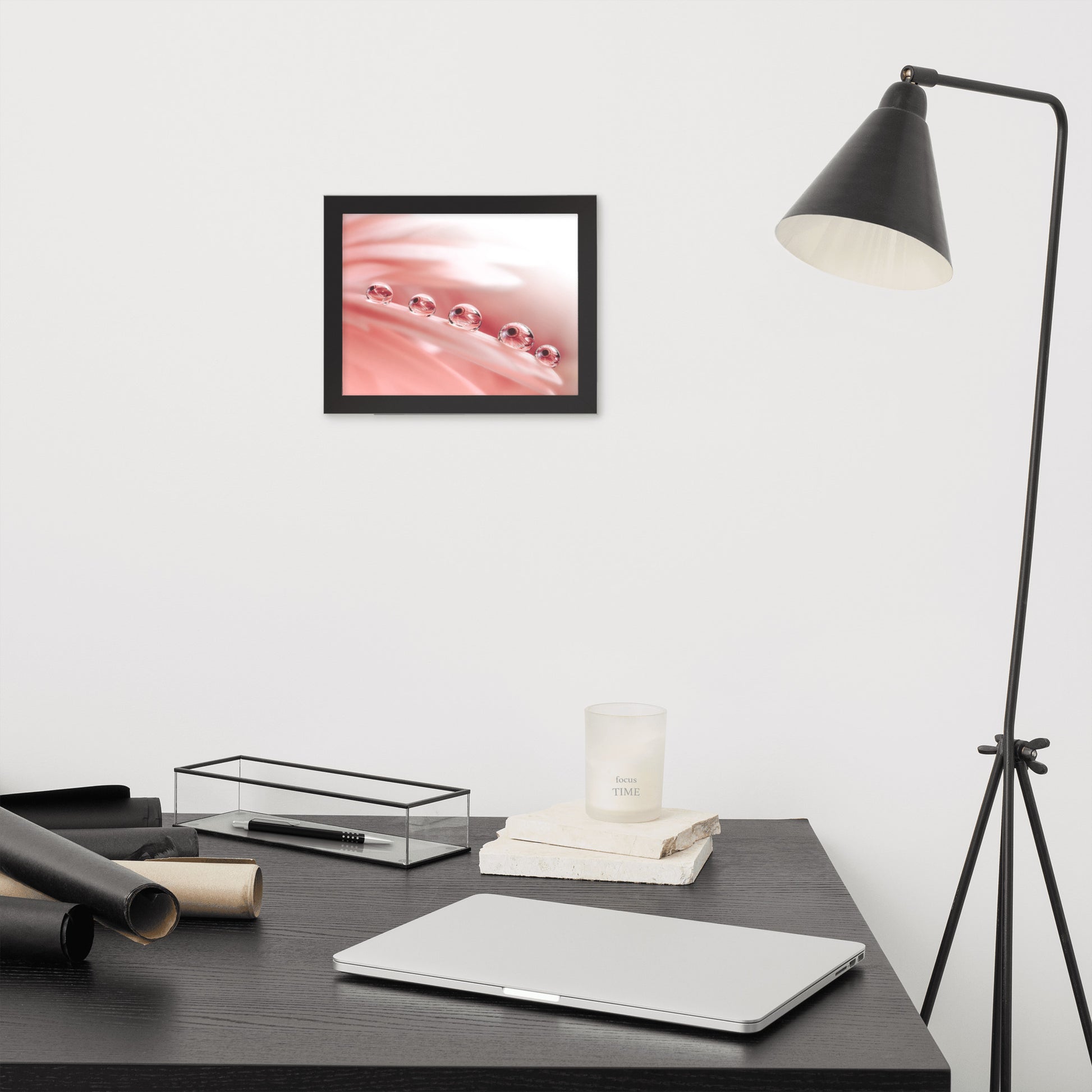 Photography Images: Dew Drops on Gerbera Daisy Petals Floral Botanical Photograph Shabby Chic - Vintage Framed Wall Art Print