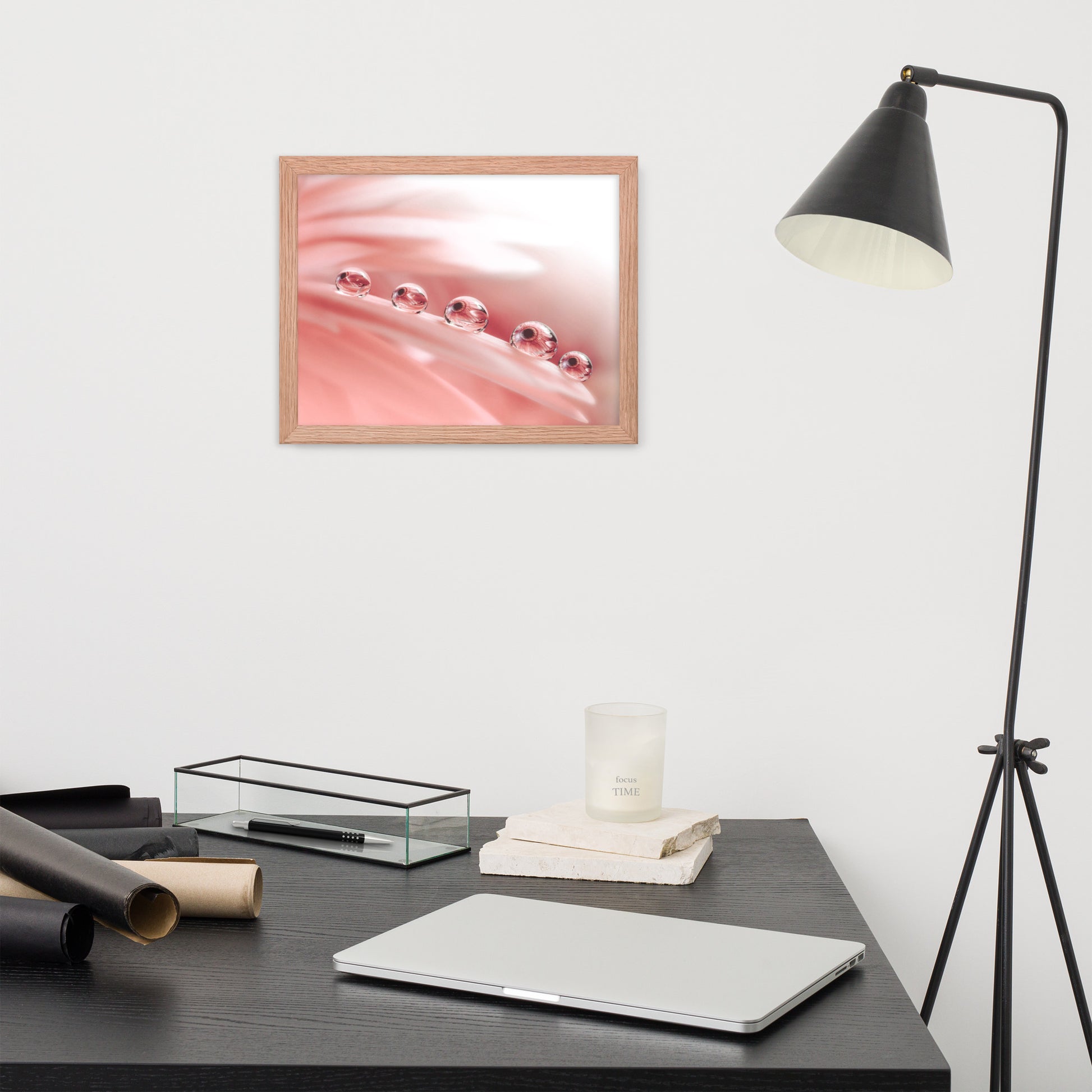 Contemporary Photography: Dew Drops on Gerbera Daisy Petals Floral Botanical Photograph Shabby Chic - Vintage Framed Wall Art Print