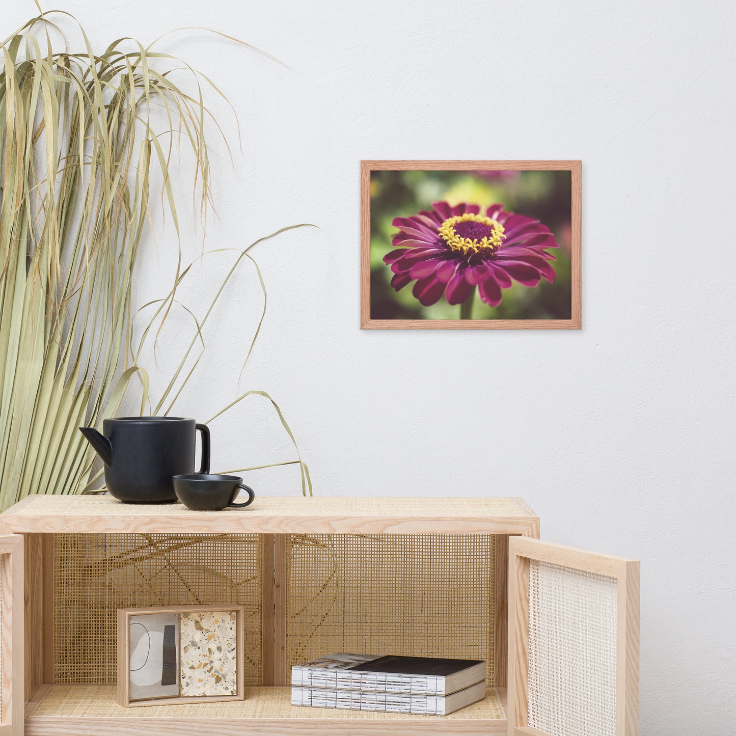 Moody Young-and-Old Age Pink Zinnia Flower Bloom Floral Nature Photo Framed Wall Art Print
