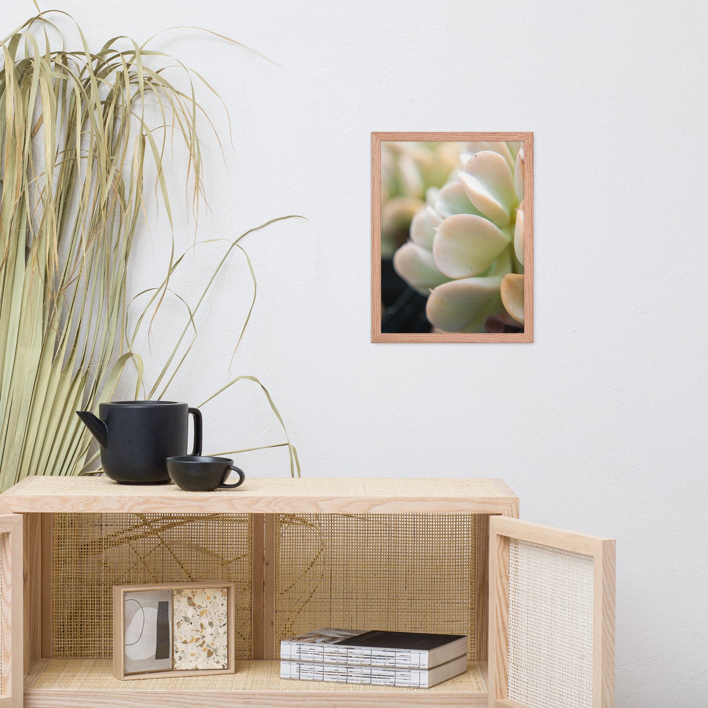 Succulent 4 Botanical Nature Photo Framed Wall Art Print