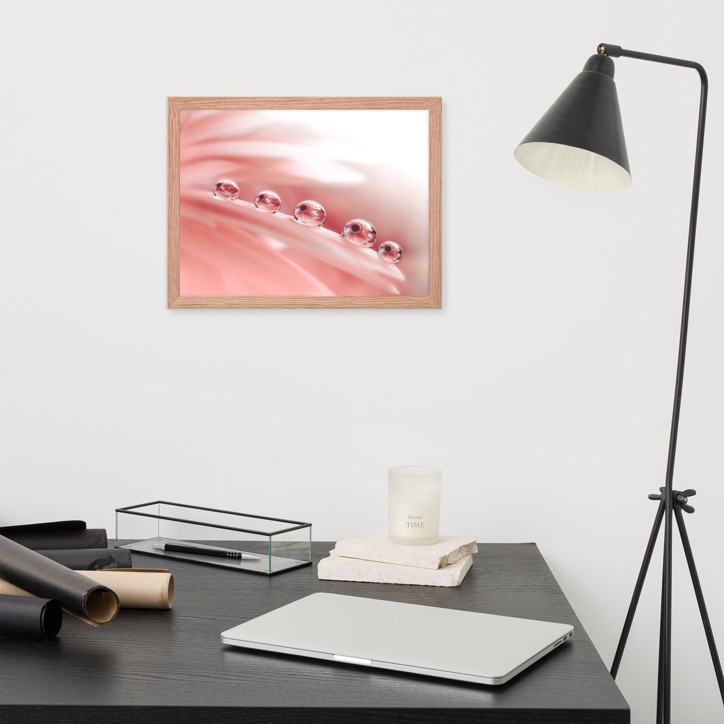 Modern Photography: Dew Drops on Gerbera Daisy Petals Floral Botanical Photograph Shabby Chic - Vintage Framed Wall Art Print